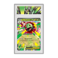 Méga-Méganium ex MEP034 Black Star Promos - Gradée