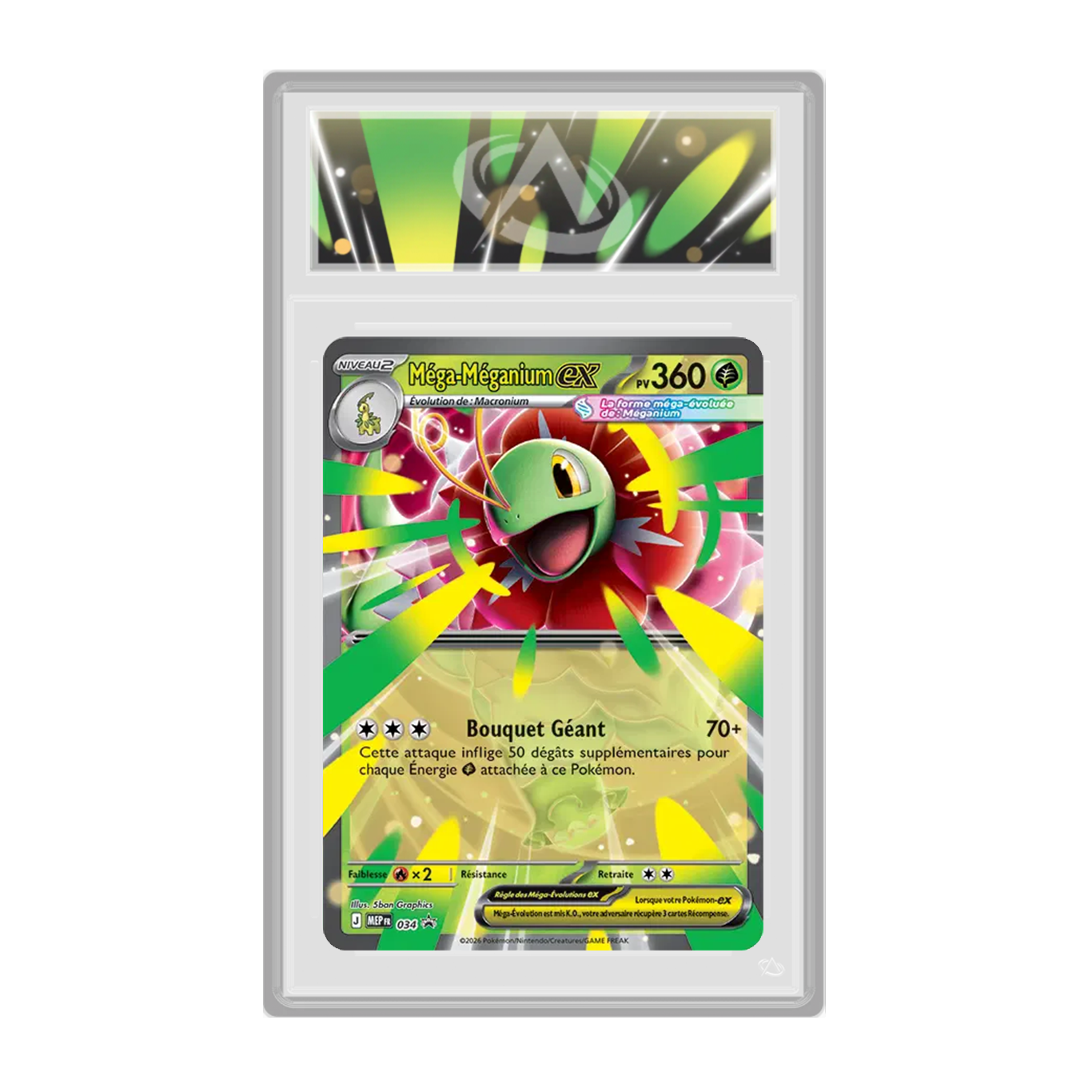 Méga-Méganium ex MEP034 Black Star Promos - Gradée